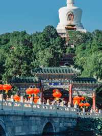 Lotus, Pagodas, and a Whisper of Imperial China — A Day in Beihai Park