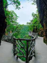 Floating Mountains and Hidden Paths: A Day in Zhangjiajie