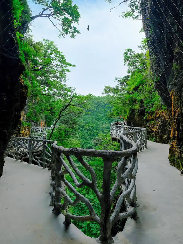 Floating Mountains and Hidden Paths: A Day in Zhangjiajie