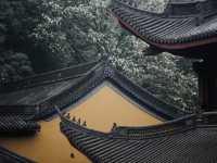 Finding Peace at Lingyin Temple: Hangzhou’s Spiritual Gem