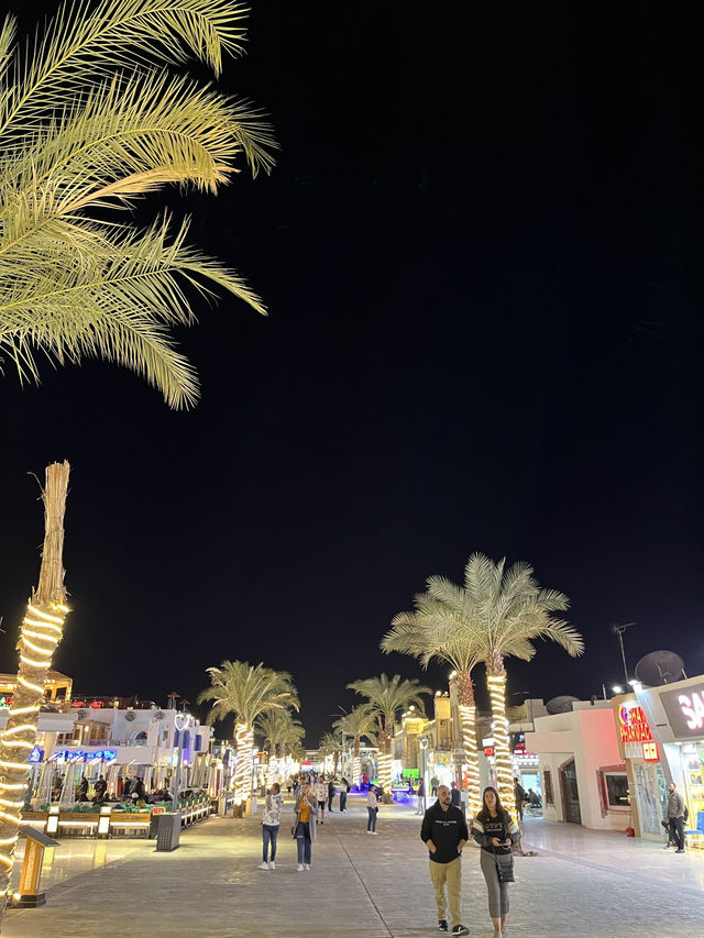 Budget Diving Escape in Sharm – All in for $100!