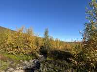 Kungsleden trail