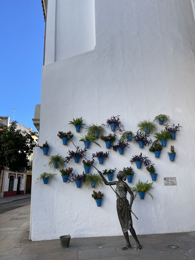 The Beauty of Córdoba: History, Streets & Sunlight 🏛️🌸✨