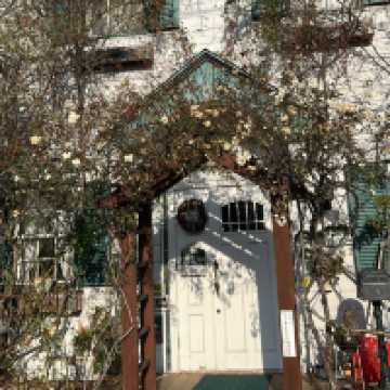 Winter in Hokkaido: Snow, Nature & Cozy Adventures