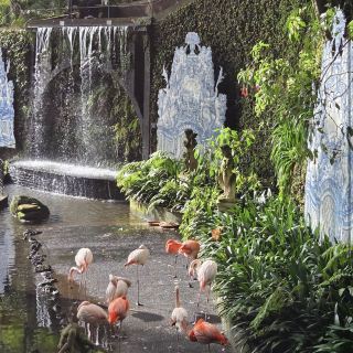 สวนมอนเตพาเลซ มาเดรา