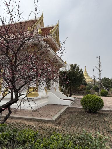 中国仏教の揺りかご：白馬寺（はくばじ） | Trip.com 洛陽