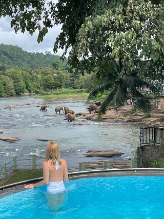 Sri Lanka: A Journey to the North.