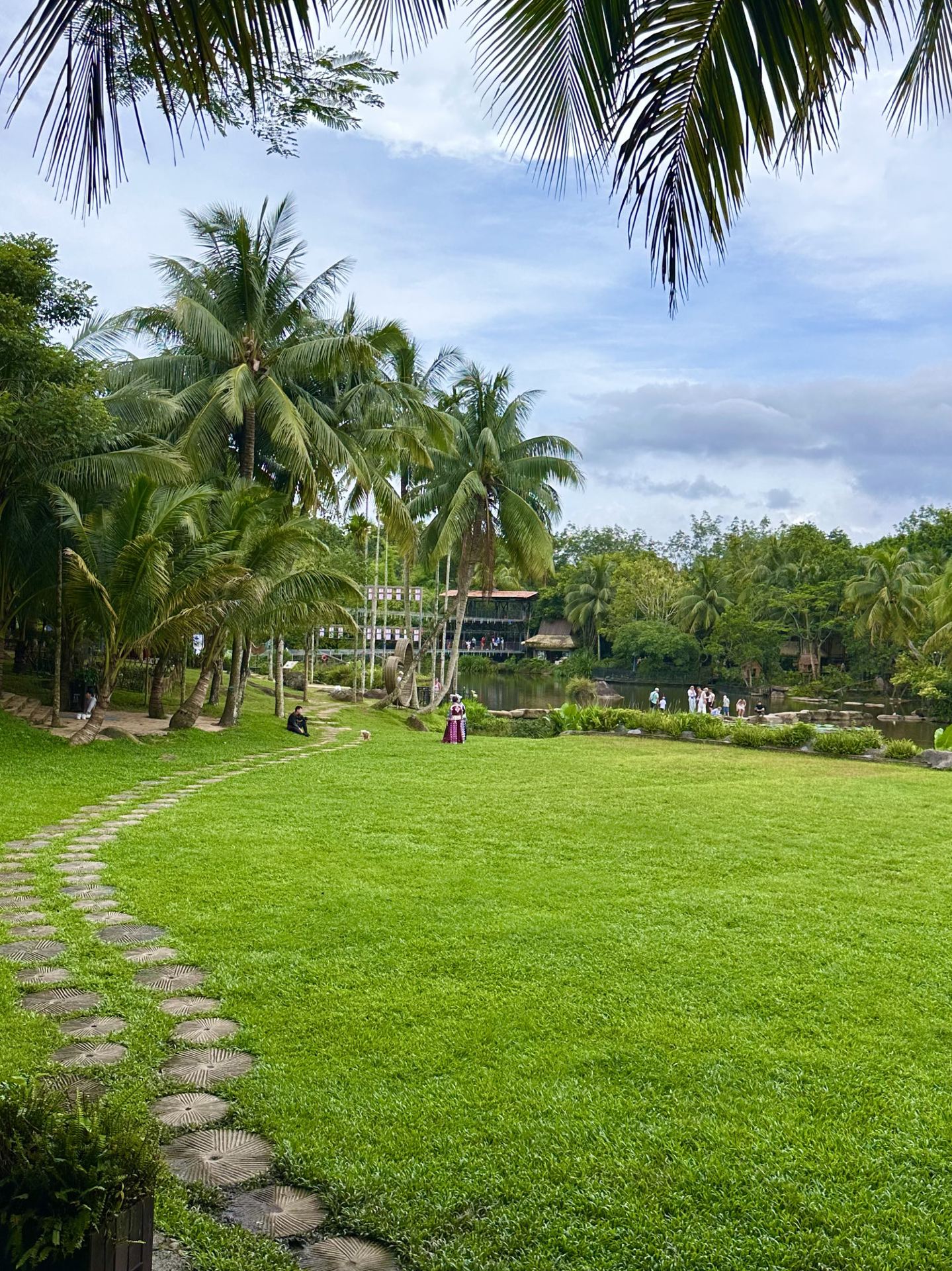 🌿 Công viên Yanoda là nơi bạn có thể chiêm ngưỡng một khu rừng mưa nhiệt đới thực sự ở Tam Á 🌴