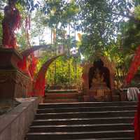 Manting Park - expect the unexpected 