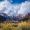 SophiaHawkins47