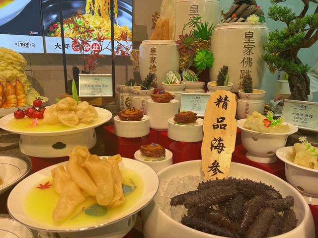 🎂 Birthday by the Sea: Qingdao's Sea View 