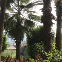 Conghua - The Home of Relaxation 