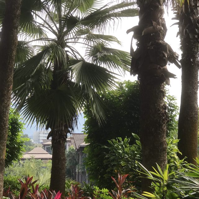 Conghua - The Home of Relaxation 