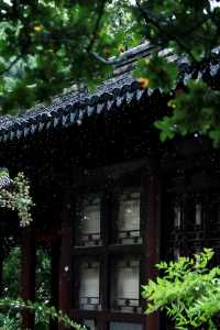 看不夠的江南雨|雨天慢遊常熟曾趙園宛若走進了詩畫裡
