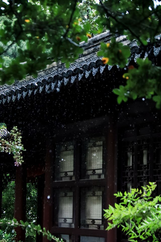 看不夠的江南雨|雨天慢遊常熟曾趙園宛若走進了詩畫裡 看不夠的江南雨|雨天慢遊常熟曾趙園宛若走進了詩畫裡