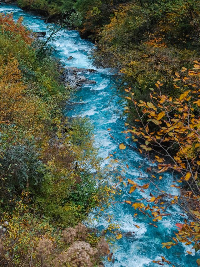 不想去光霧山的，來這個小眾免費的彩林盛景