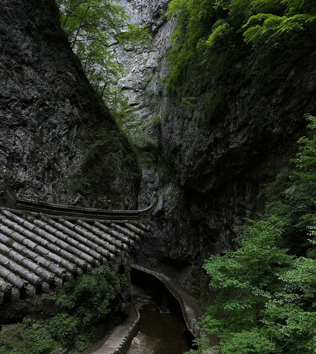 別有洞天，金絲峽！