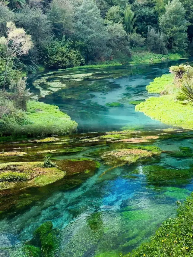 Blue Spring, the world's purest water source