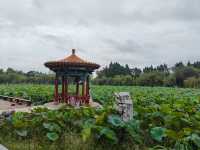 昆明·大觀公園