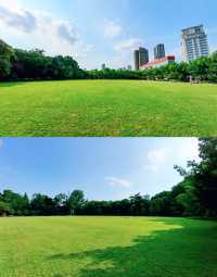 上海|復興公園，一座老牌法式園林