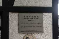 Citywalk第二彈|樹蔭下的新華路