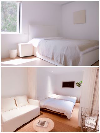 A homestay on a peninsula in the forest