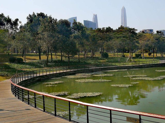 快來深圳公園，一起打卡啊