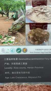 河南 恐龍遺跡園｜穿越時空來到恐龍世紀
