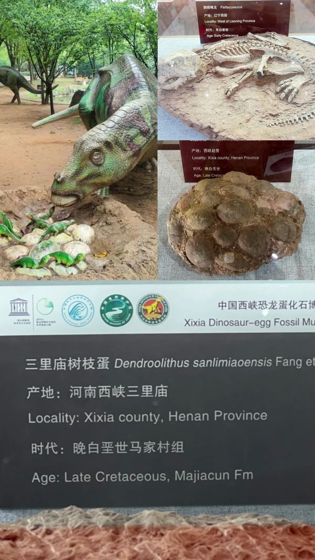 河南 恐龍遺跡園｜穿越時空來到恐龍世紀