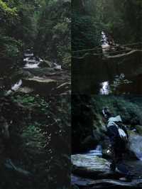 昆明周邊｜玉溪雲海日出哀牢山徒步𝟮天攻略
