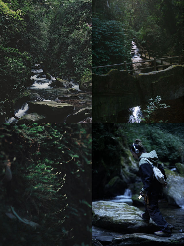 昆明周邊｜玉溪雲海日出哀牢山徒步𝟮天攻略