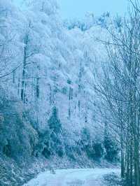 一山賞盡秋山雪色，四明山自駕路線及機位