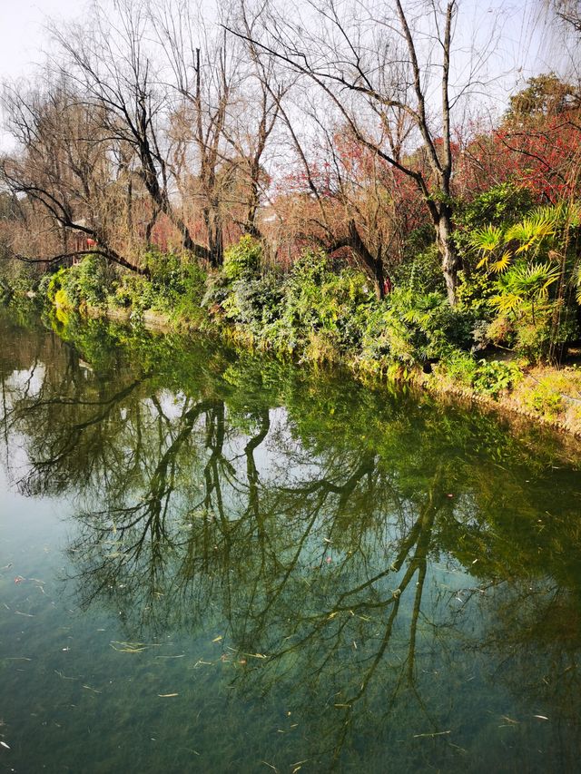 棠湖賞花正當時