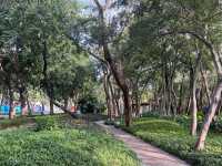 深圳Citywalk：福榮綠道