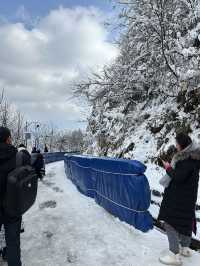 冬日的快樂怎麼能少得了看雪