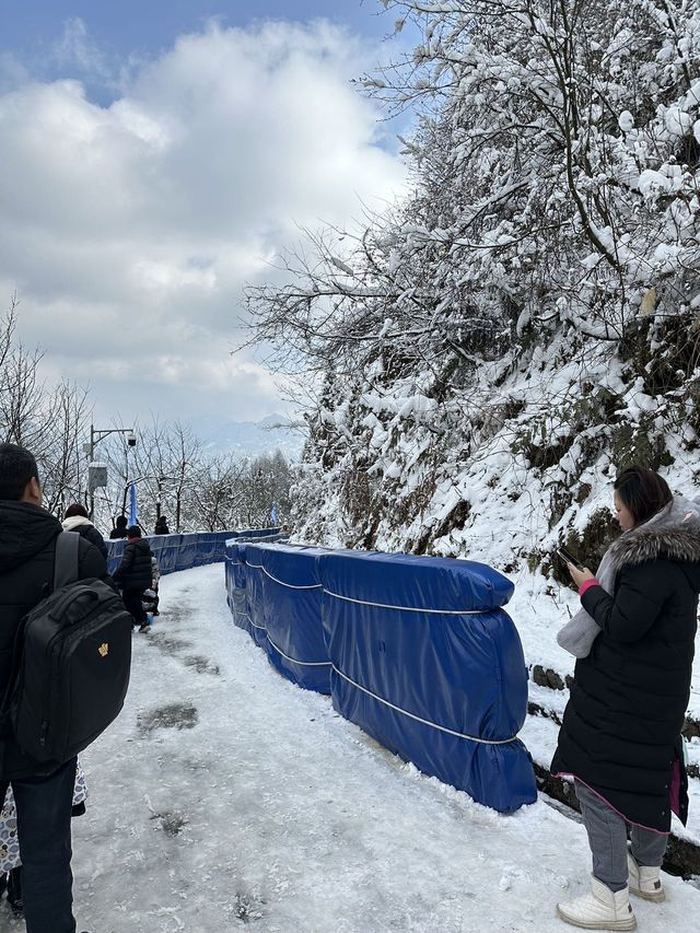 冬日的快樂怎麼能少得了看雪