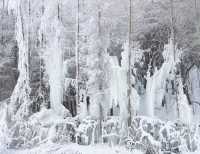 巴山湫池·冰雪大世界等你來遊玩嬉戲打卡