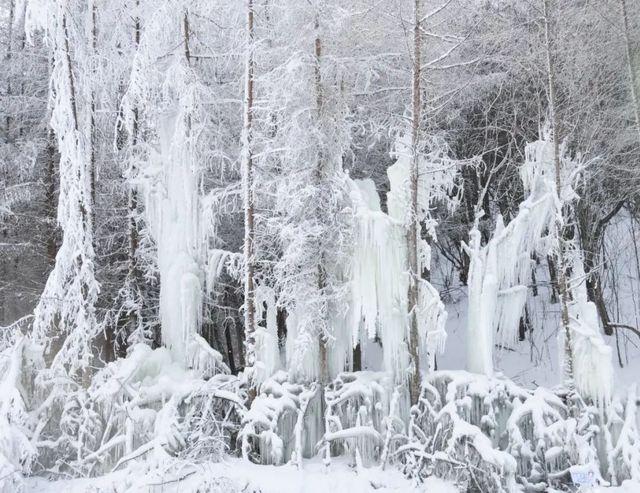 巴山湫池·冰雪大世界等你來遊玩嬉戲打卡 巴山湫池·冰雪大世界等你來遊玩嬉戲打卡
