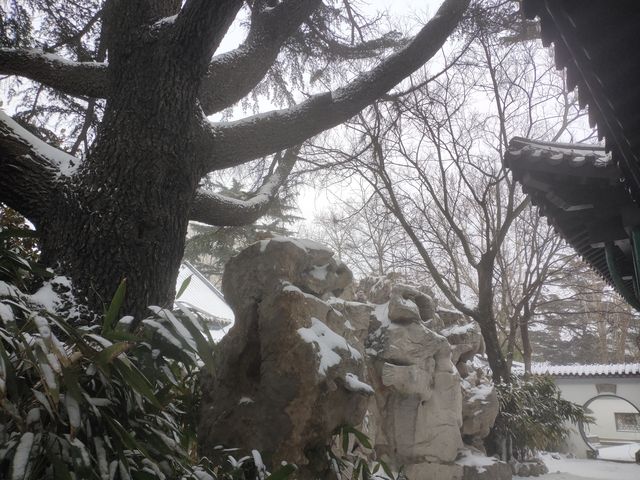 雪中「返璞歸真」——遊濰坊人民公園的「歸真園」