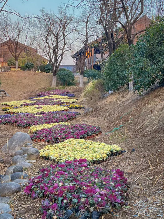 西安遛娃省媽好去處|打卡花間堂·與鹿酒店