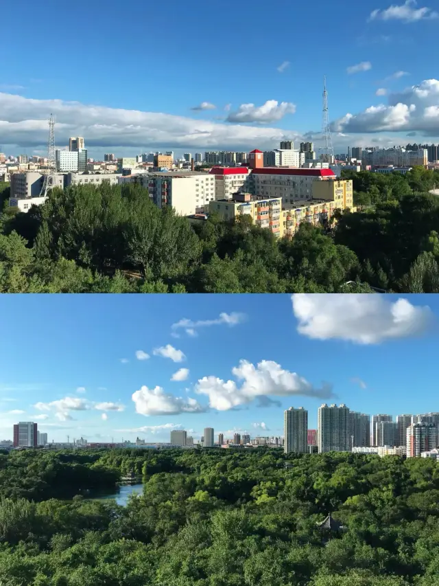 龍沙公園