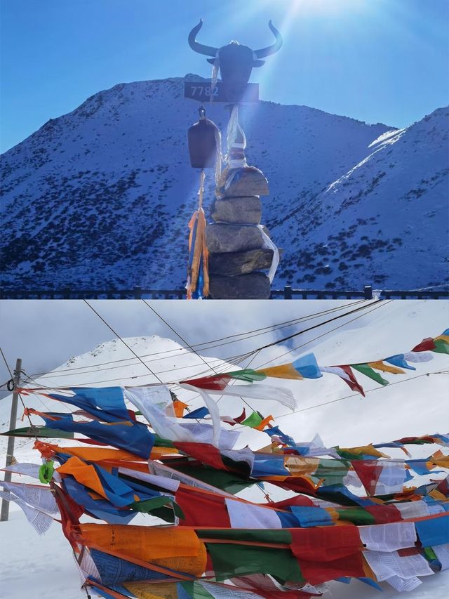 林芝—來古冰川：西藏的絕美秘境，5天4晚深度遊等你來探索！
