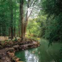 上海小眾公園｜沉浸式citywalk莘莊公園