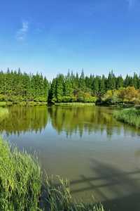 東平國家森林公園