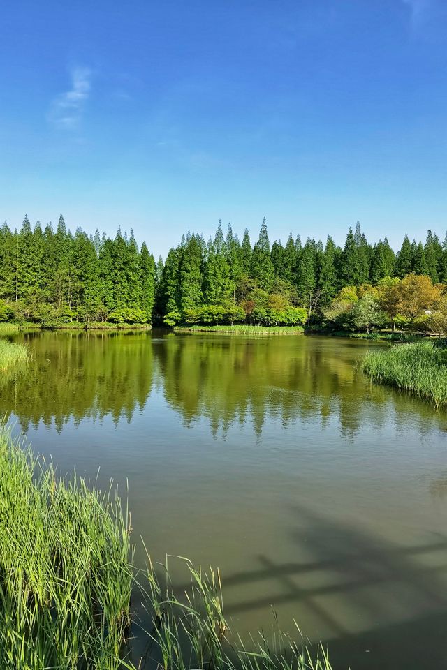 東平國家森林公園