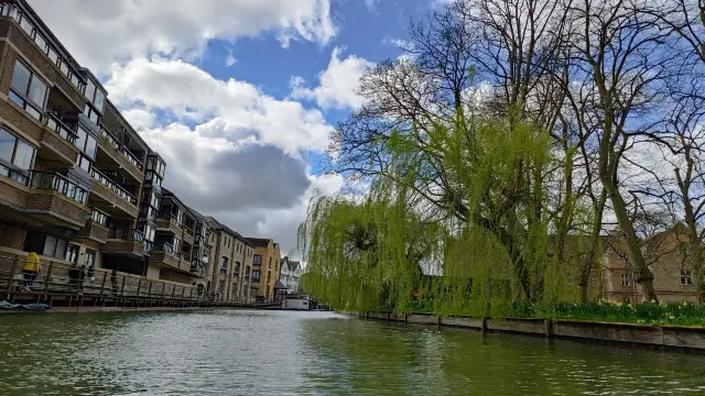 Punting on the River Cam