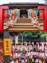杭州西溪十里芳菲-花神節浪漫之旅