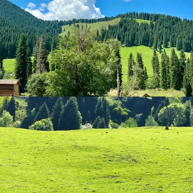 Xinjiang Panoramic North Xinjiang Pure Play 15-Day Tour Guide
