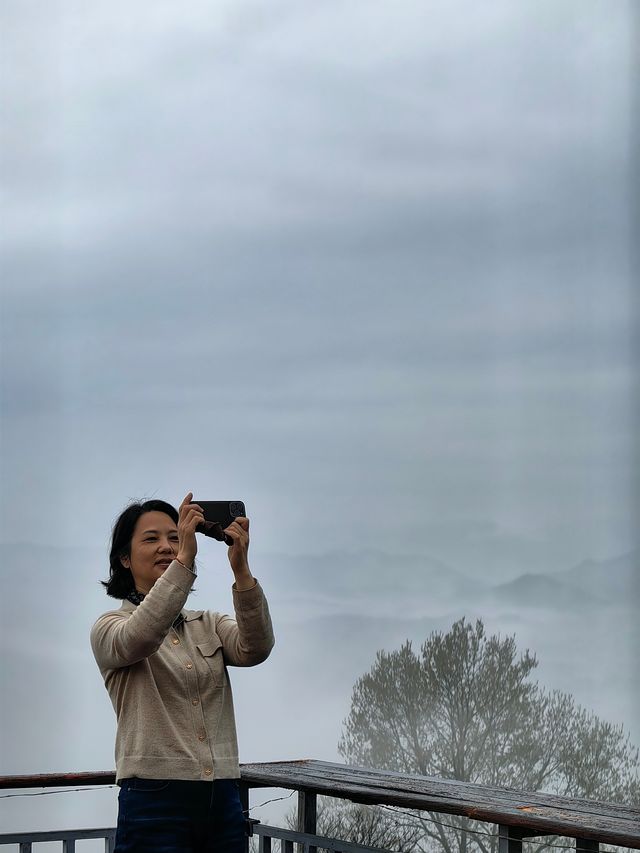 雲瀰漫茶山，安徽小眾景點休寧金龍山雲上茶園裡度假酒店