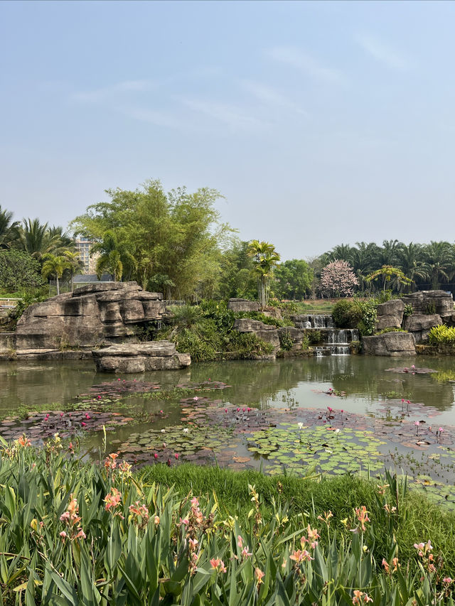 西雙版納熱帶花卉園